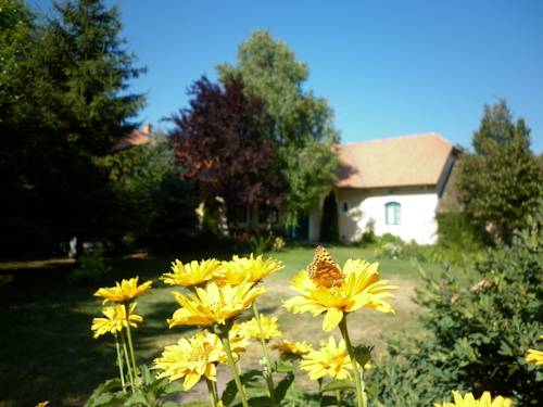 Mórahalom Hungary Promo Code Booking.com