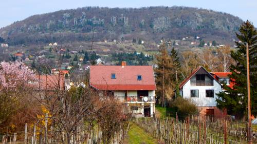Badacsonytördemic Hungary Promo Code Booking.com
