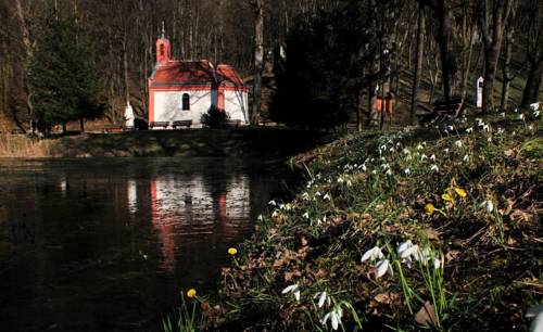Bakonybél Hungary Promo Code Booking.com