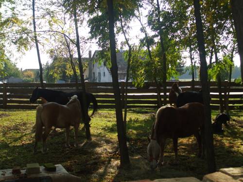 Kiskőrös Hungary Promo Code Booking.com