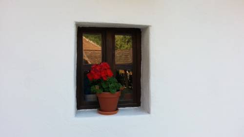 Telkibánya Hungary Promo Code Booking.com