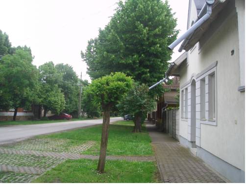 Csongrád Hungary Promo Code Booking.com