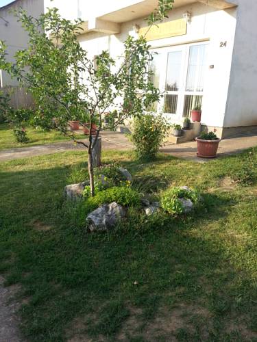 Aggtelek Hungary Promo Code Booking.com