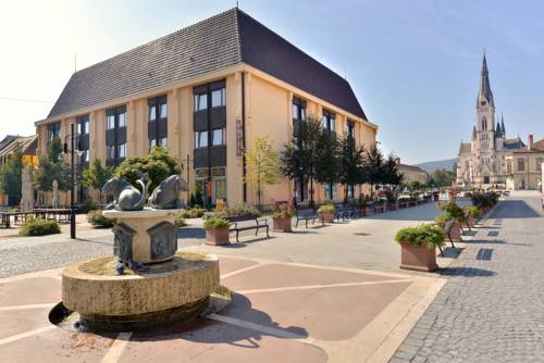 Kőszeg Hungary Promo Code Booking.com