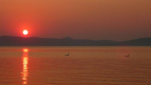 Balatonboglar Hungary Promo Code Booking.com